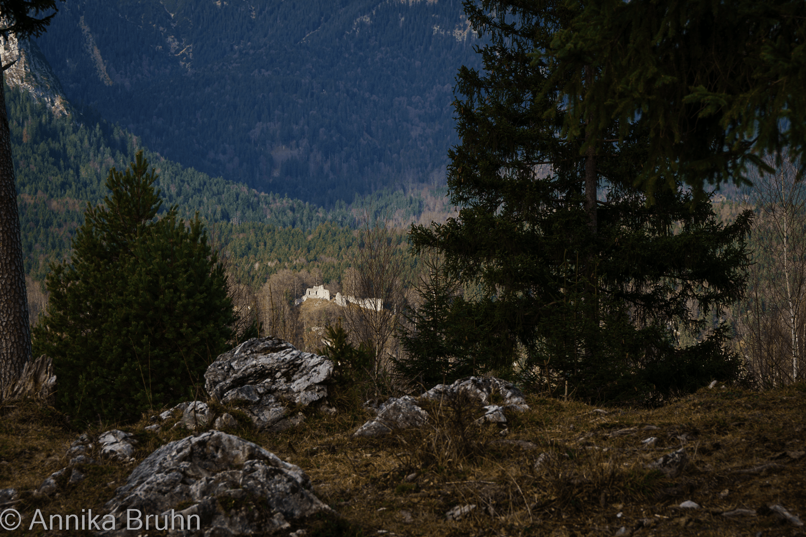 Ruine Werdenfels!